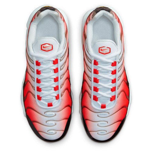 Nike Air Max Plus GS